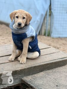 Hutabilder-25-12-w01-070