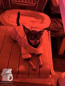 Hutabilder-25-12-w01-071