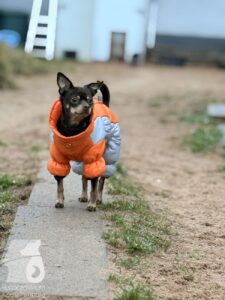 Hutabilder-25-12-w01-073