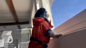 Hutabilder-25-12-w01-074