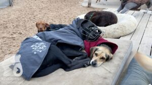 Hutabilder-25-12-w01-076