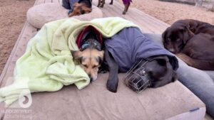 Hutabilder-25-12-w01-078