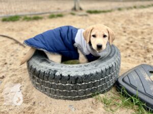 Hutabilder-25-12-w01-079