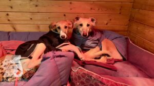 Hutabilder-25-12-w01-081