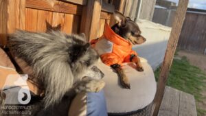 Hutabilder-25-12-w01-084