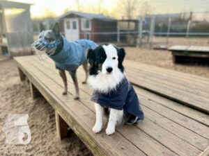 Hutabilder-25-12-w01-085