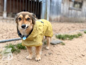 Hutabilder-25-12-w15002