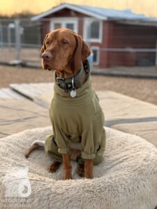 Hutabilder-25-12-w15004