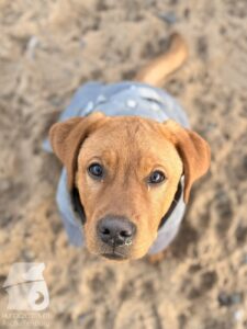 Hutabilder-25-12-w15006