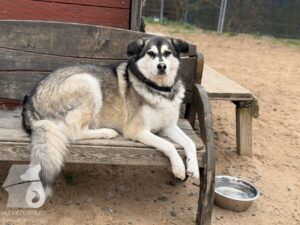 Hutabilder-25-12-w15008