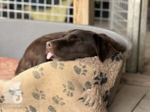 Hutabilder-25-12-w15010