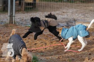 Hutabilder-25-12-w15022