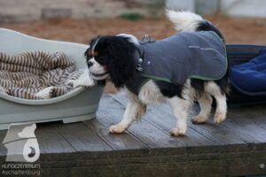 Hutabilder-25-12-w15026