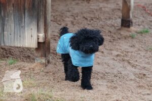 Hutabilder-25-12-w15027