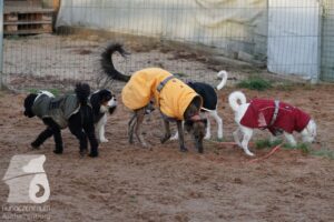 Hutabilder-25-12-w15028