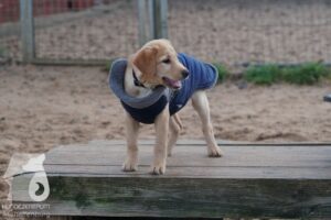 Hutabilder-25-12-w15032