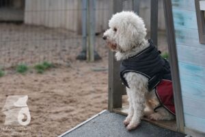 Hutabilder-25-12-w15039