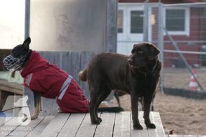 Hutabilder-25-12-w15041