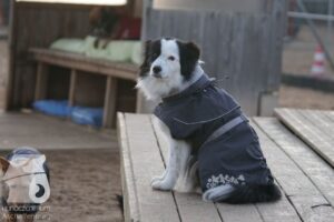 Hutabilder-25-12-w15045