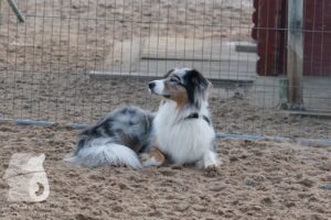 Hutabilder-25-12-w15053