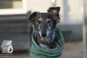 Hutabilder-25-12-w15055