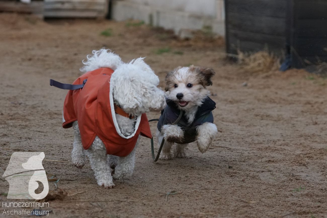 Mehr über den Artikel erfahren Dezember 2025