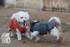 Hutabilder-25-12-w15061