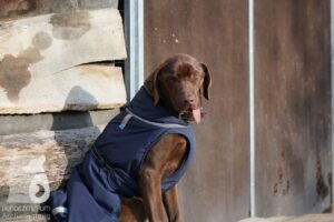 Hutabilder-25-12-w15066