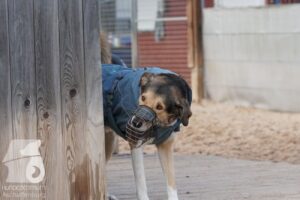 Hutabilder-25-12-w15069