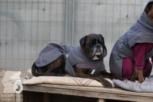 Hutabilder-25-12-w15070