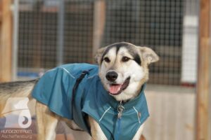 Hutabilder-25-12-w15072