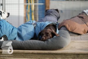 Hutabilder-25-12-w15073