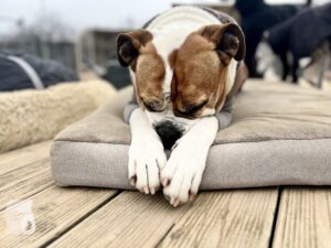 Hutamix-25-11-w24-001