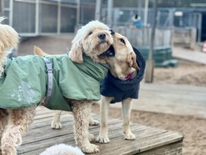 Hutamix-25-11-w24-002