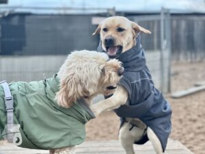 Hutamix-25-11-w24-003