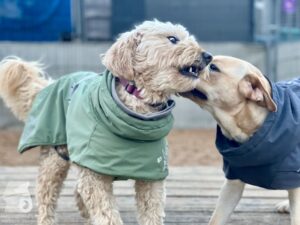 Hutamix-25-11-w24-004