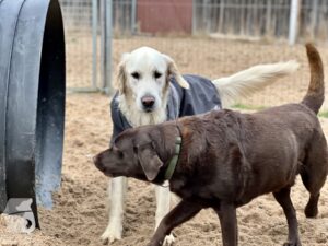 Hutamix-25-11-w24-005