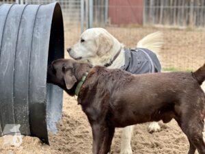 Hutamix-25-11-w24-006