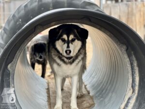 Hutamix-25-11-w24-007