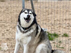 Hutamix-25-11-w24-008