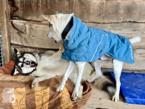 Hutamix-25-11-w24-009