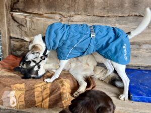 Hutamix-25-11-w24-010