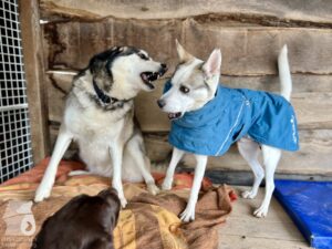 Hutamix-25-11-w24-011