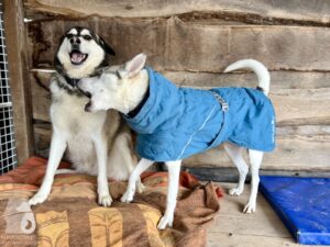 Hutamix-25-11-w24-012