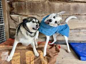 Hutamix-25-11-w24-013