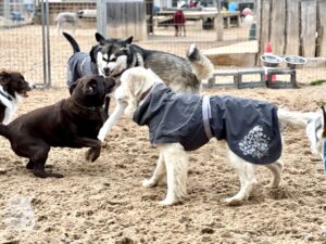 Hutamix-25-11-w24-014