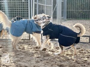 Hutamix-25-11-w24-015