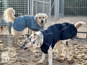 Hutamix-25-11-w24-016