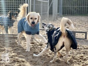 Hutamix-25-11-w24-017