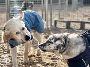 Hutamix-25-11-w24-018